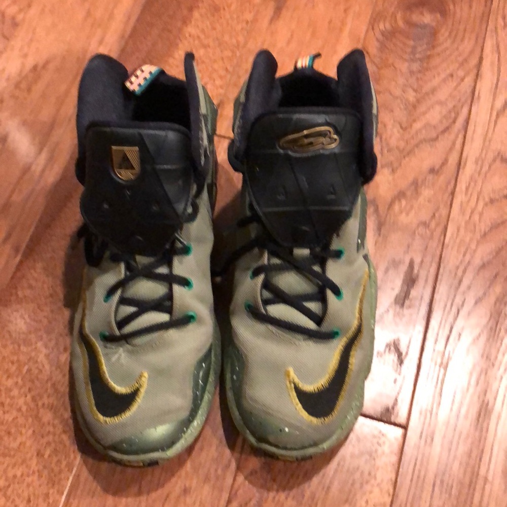 Nike LeBron James basketball shoes